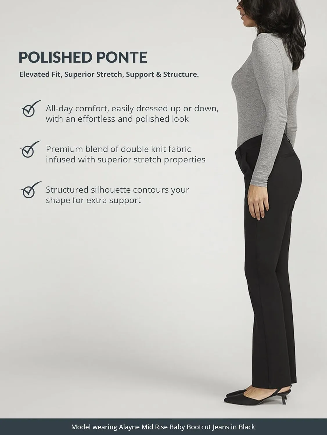 JAG Women's Polished Ponte Assorted Pants